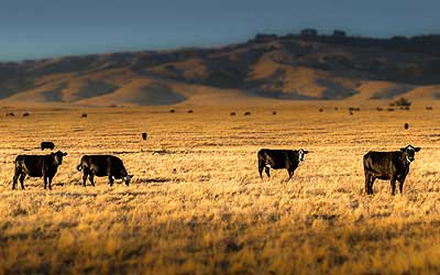 Brownwood-TX-ranches-for-sale